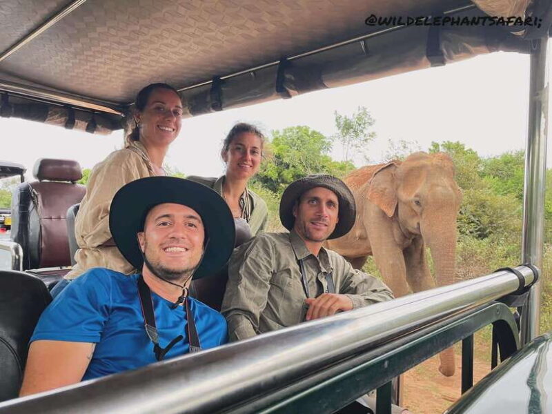 Udawalawa National Park: Safari & Elephant Transit Home Tour - The Value of This Tour