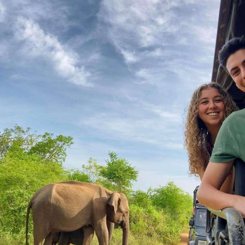 Udawalawa National Park: Safari & Elephant Transit Home Tour - Who This Tour Is Best For