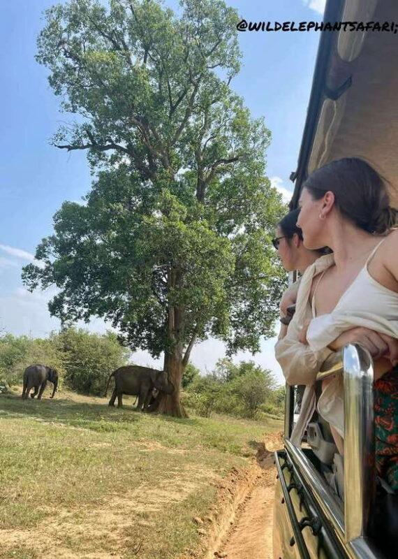 Udawalawa National Park: Safari & Elephant Transit Home Tour - FAQ