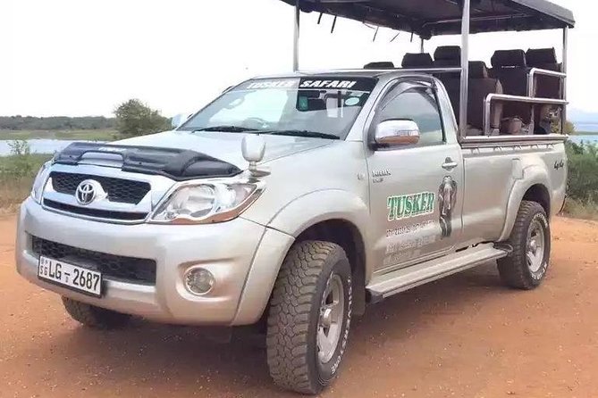 Udawalawa Safari Half Day Tours - Public Transportation and Infant Seats