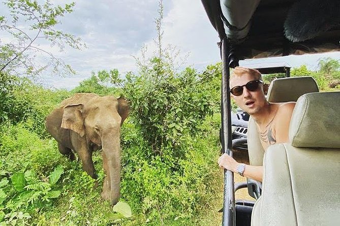 Udawalawa Safari Half Day Tours - Traveler Recommendations and Medical Conditions