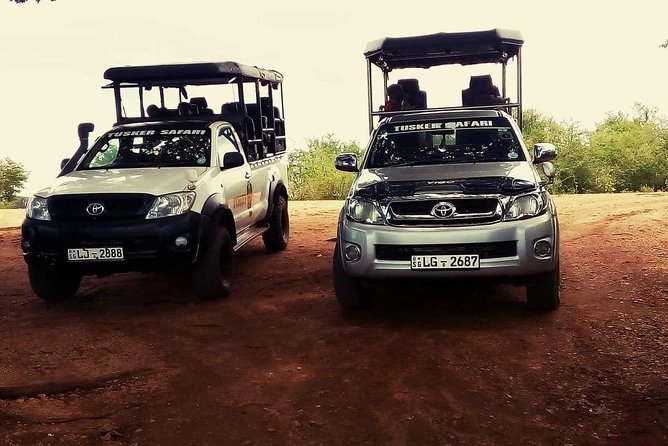 Udawalawa Safari Half Day Tours - Maximum Traveler Limit and Weather Policy