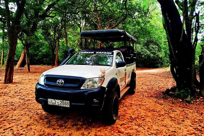 Udawalawa Safari Half Day Tours - Cancellation and Refund Policy