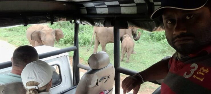 Udawalawa Safari W Tush, With Pickup & Drop off Both at Ella - Good To Know