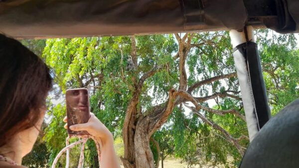 Udawalawa Safari W Tush, With Pickup & Drop off Both at Ella - Frequently Asked Questions