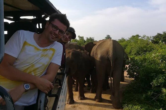 Udawalawe City to Hikkaduwa City Private Transfer - Authentic Feedback and What Travelers Say