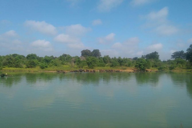 Udawalawe Jeep Safari - Ahungalla & Kosgoda Hotels - The Sum Up