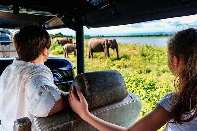Udawalawe Jeep Safari from Bentota Aluthgama Berawula Area - An In-Depth Look at the Tour Experience