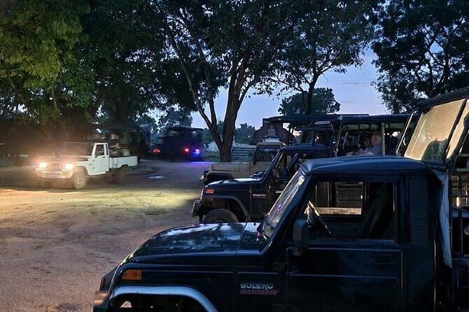 Udawalawe Jeep Safari from Bentota Aluthgama Berawula Area - The Sum Up: Who Should Consider This Tour?