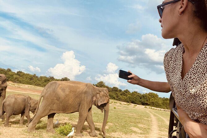 Udawalawe National Park 6-Hour Private Safari Tour - A Close Look at the Itinerary