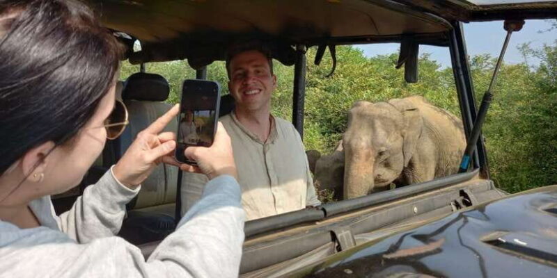 Udawalawe National Park - 7 Hours Private Safari tour - Final Thoughts: Is It Worth It?