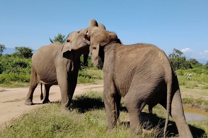 Udawalawe National Park All-Inclusive Tickets - Cancellation Policy
