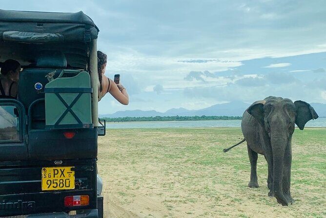 Udawalawe National Park Day trip - Good To Know