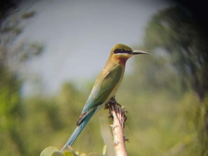 Udawalawe National Park | Full day-10 Hours - Who Is This Tour Best For?