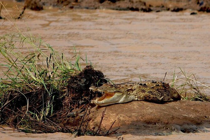 Udawalawe National Park | Half day - Safari tour - Who is this safari best for?