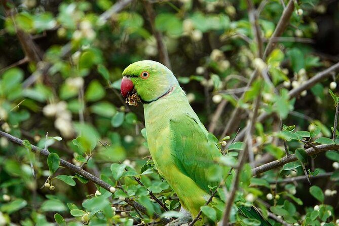 Udawalawe National Park | Half day - Safari tour - Final thoughts