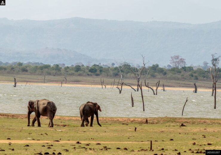 Udawalawe National Park Private Full-Day Safari - Activity Details