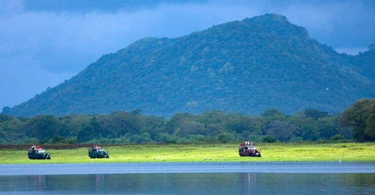 Udawalawe National Park Private Full-Day Safari - Wildlife Encounter