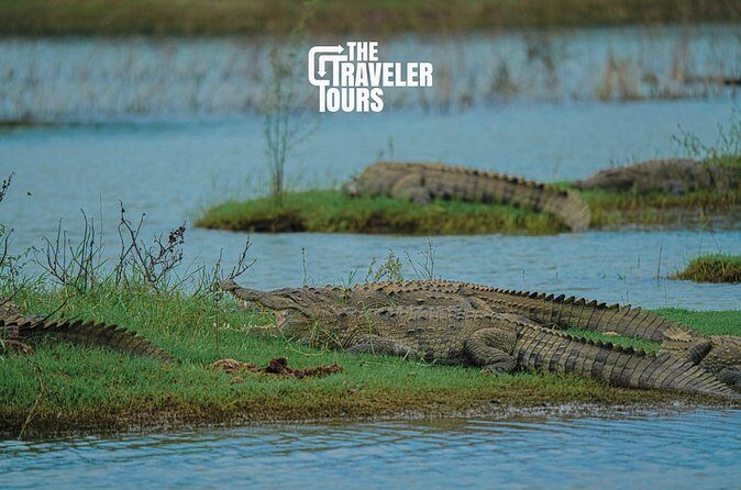 Udawalawe National Park Private Jeep Tour Safari Experience - FAQ