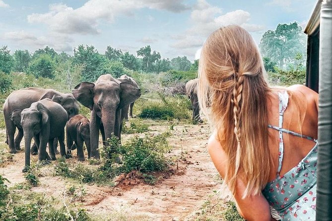 Udawalawe National Park Private Safari - Reviews and Ratings