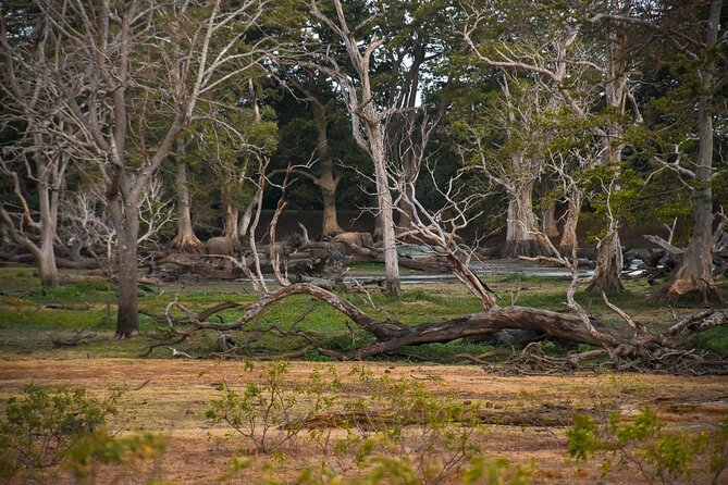 Udawalawe National Park Private Safari (Full Day/6 Hours/4 Hours) - Frequently Asked Questions