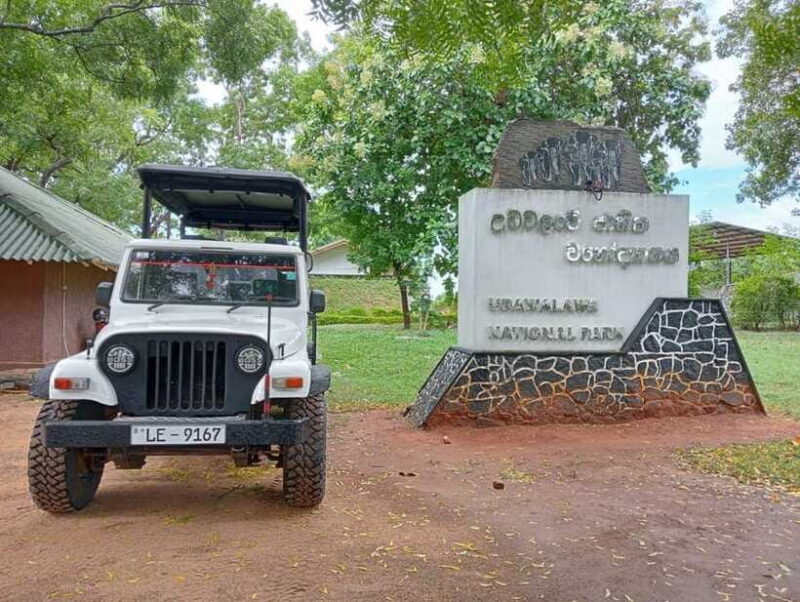 Udawalawe National Park Safari Adventure ( privet tour) - Who Will Love This Experience?