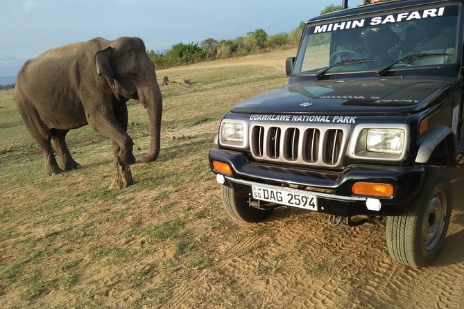 Udawalawe National Park Safari From Ella - Tour Details