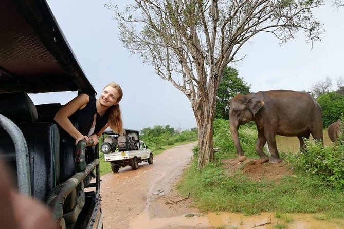 Udawalawe National Park Safari From Ella - Transport and Chauffeur Service