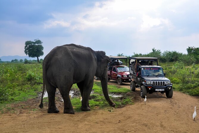 Udawalawe National Park Safari From Galle - Booking Information