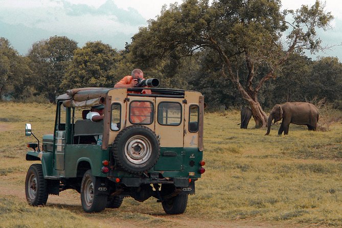 Udawalawe National Park Safari From Galle - The Sum Up