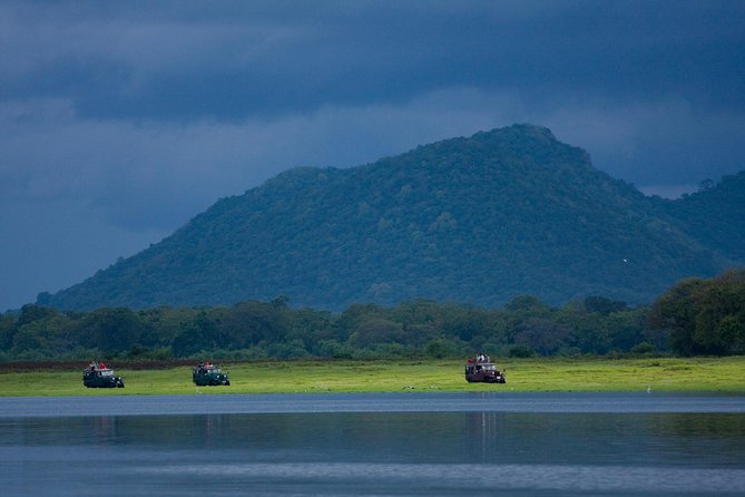 Udawalawe National Park Safari From Yala - Date and Traveler Selection