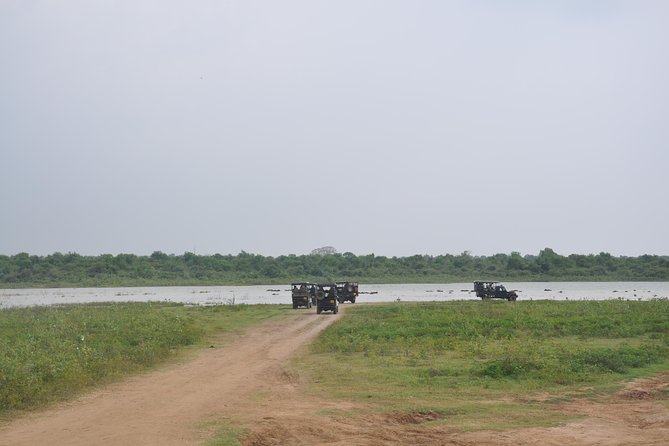 Udawalawe National Park Safari From Yala - Inclusions
