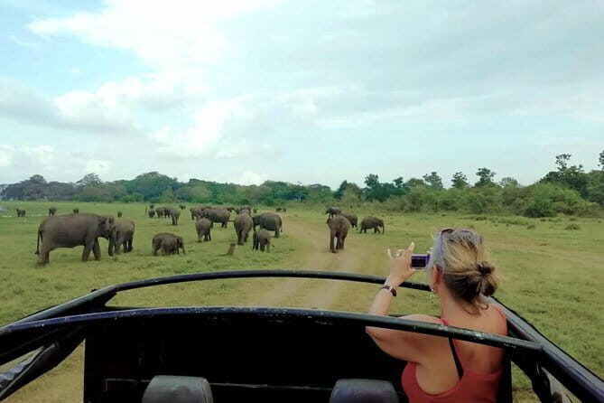 Udawalawe National Park Safari Tour - FAQ