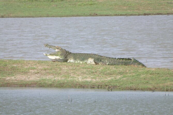 Udawalawe National Park Safari Tours - Authentic Wildlife Encounters