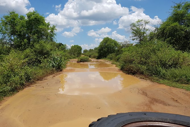 Udawalawe National Park Safari Trip From Galle/Mirissa/Ella - Booking and Logistics