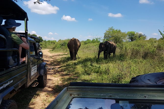 Udawalawe National Park Safari Trip From Galle/Mirissa/Ella - Trip Details and Itinerary