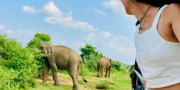 Udawalawe National Park: Safari with Experienced Driver - The Experience: A Closer Look