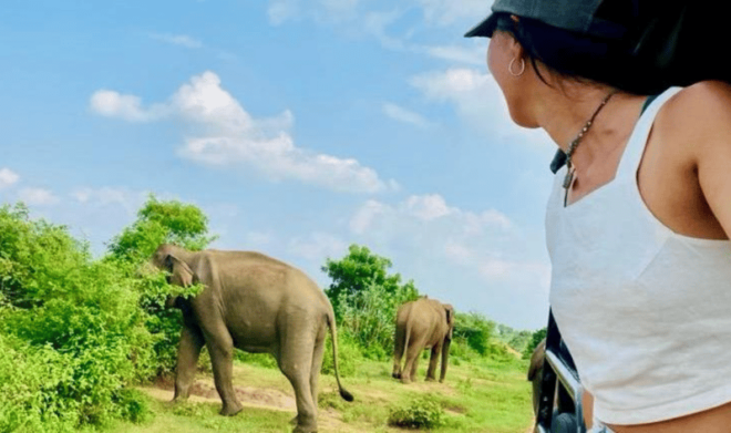 Udawalawe National Park: Safari With Experienced Driver - Transportation Details