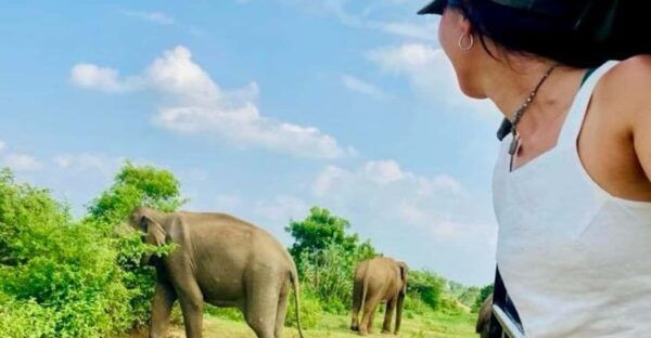 Udawalawe National Park: Safari With Experienced Driver - Frequently Asked Questions