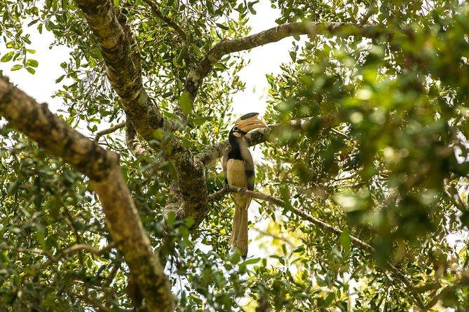 Udawalawe National Park Safari With Naturalist - Cancellation Policy