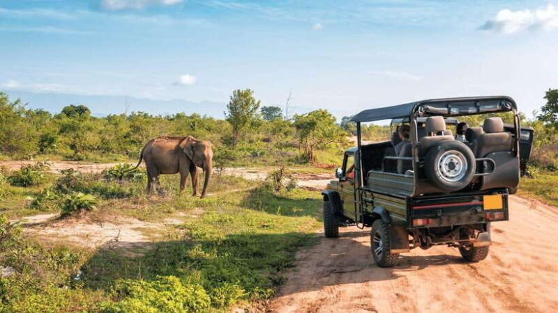 "Udawalawe National Park Safari with Pickup & Drop-off" - Final Thoughts