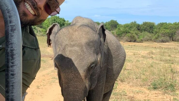 Udawalawe National Park Wildlife Safari From Galle - Highlights and Park Description