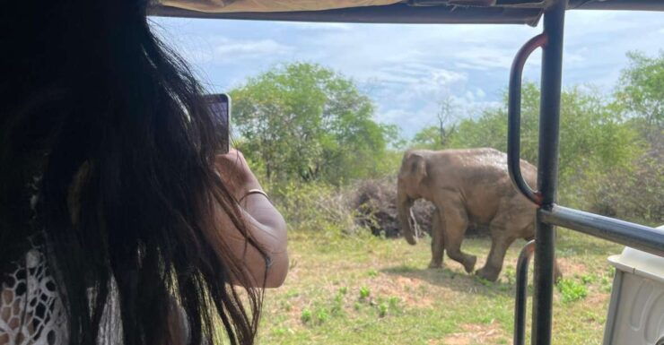 Udawalawe National Park Wildlife Safari From Hambantota - Udawalawe National Park Highlights