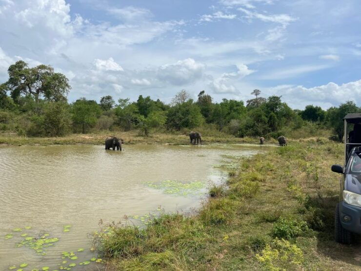 Udawalawe National Park Wildlife Safari From Mirissa - Park Highlights and Photography Opportunities