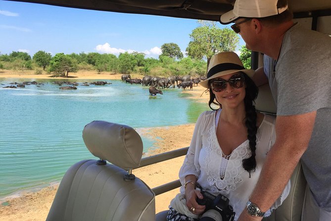 Udawalawe National Park With Elephant Transit Home From Colombo - Pickup and Departure Details