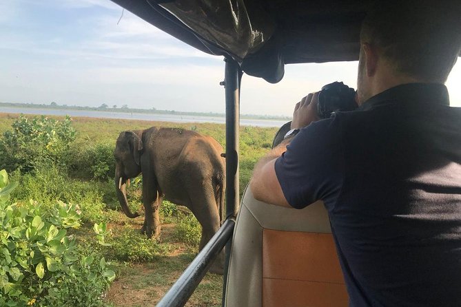 Udawalawe National Park With Elephant Transit Home From Colombo - Important Guidelines