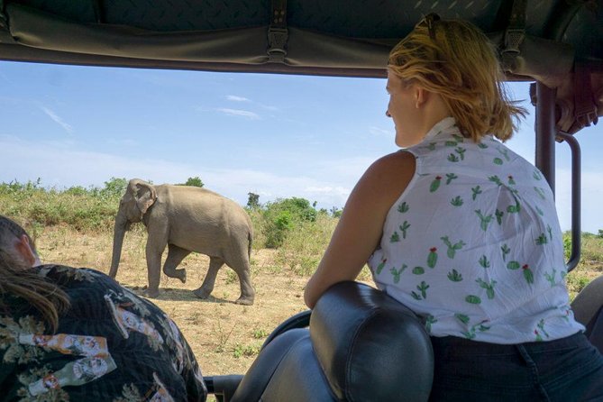 Udawalawe National Park With Elephant Transit Home From Colombo - Cancellation Policy