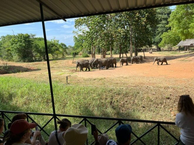 Udawalawe National Park With Safari Jeep & Entrance Ticket - Park Conservation and Significance