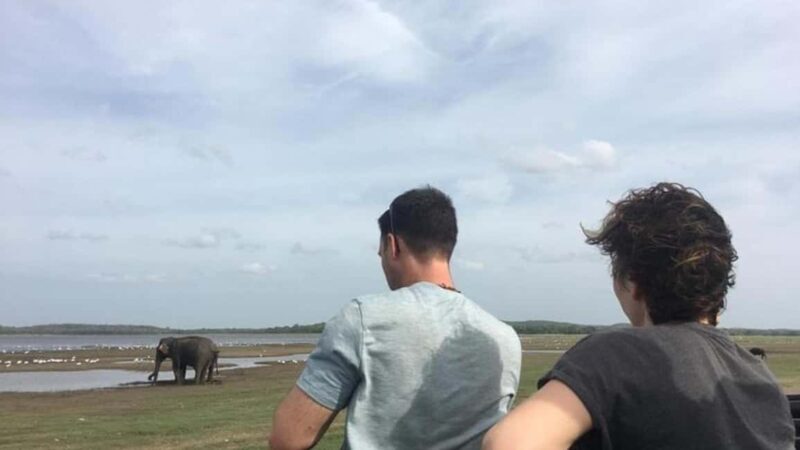 Udawalawe: Private Safari with Picnic and Hotel Pickup - Why Choose This Udawalawe Private Safari?