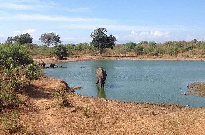 Udawalawe Safari - FAQ